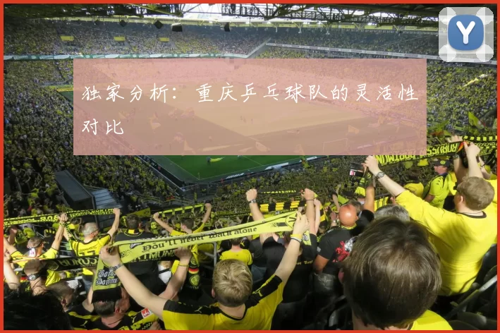 独家分析：重庆乒乓球队的灵活性对比