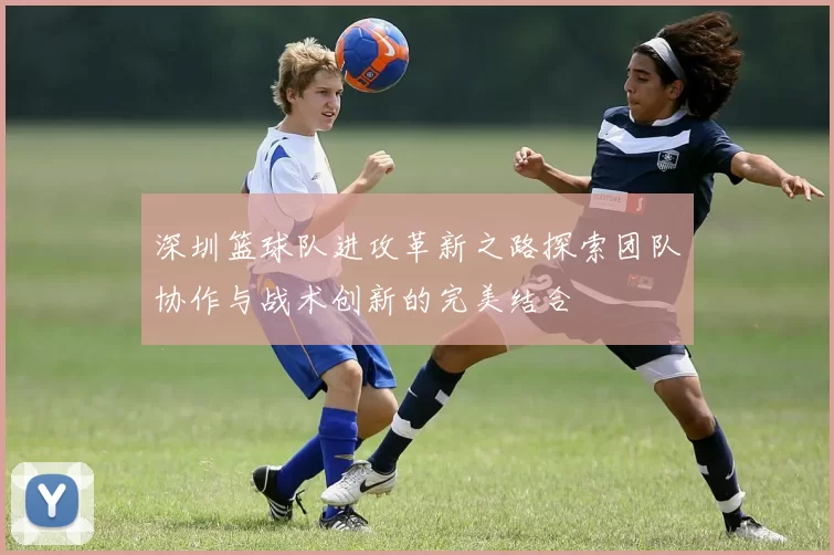深圳篮球队进攻革新之路探索团队协作与战术创新的完美结合
