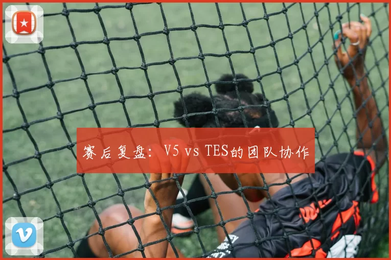 赛后复盘：V5 vs TES的团队协作