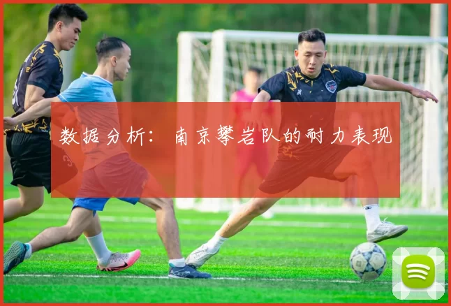 数据分析：南京攀岩队的耐力表现
