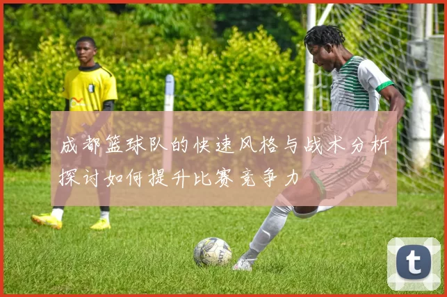 成都篮球队的快速风格与战术分析探讨如何提升比赛竞争力