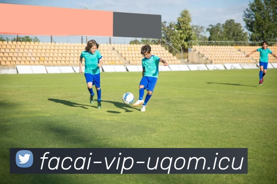 开云体育发展历程